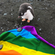 The penguins are so down!